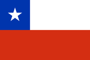 Chile atención domiciliaria
